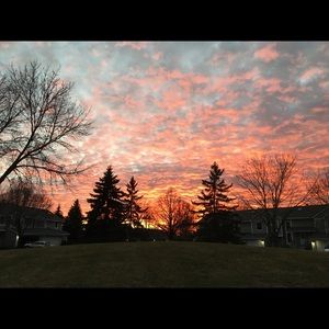 Meet your Posher, Leslie